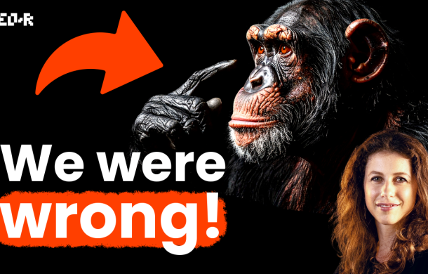 Hanna Schleihauf: Chimpanzees Don’t Just Act, They Think About Why