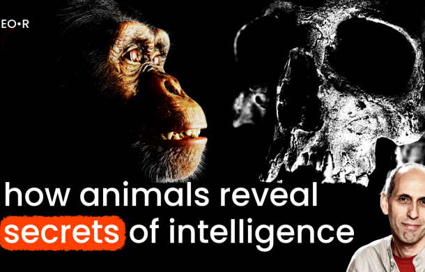 Arik Kershenbaum: How animals reveal secrets of our intelligence